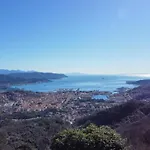 Il Riccio Tra I Castagni