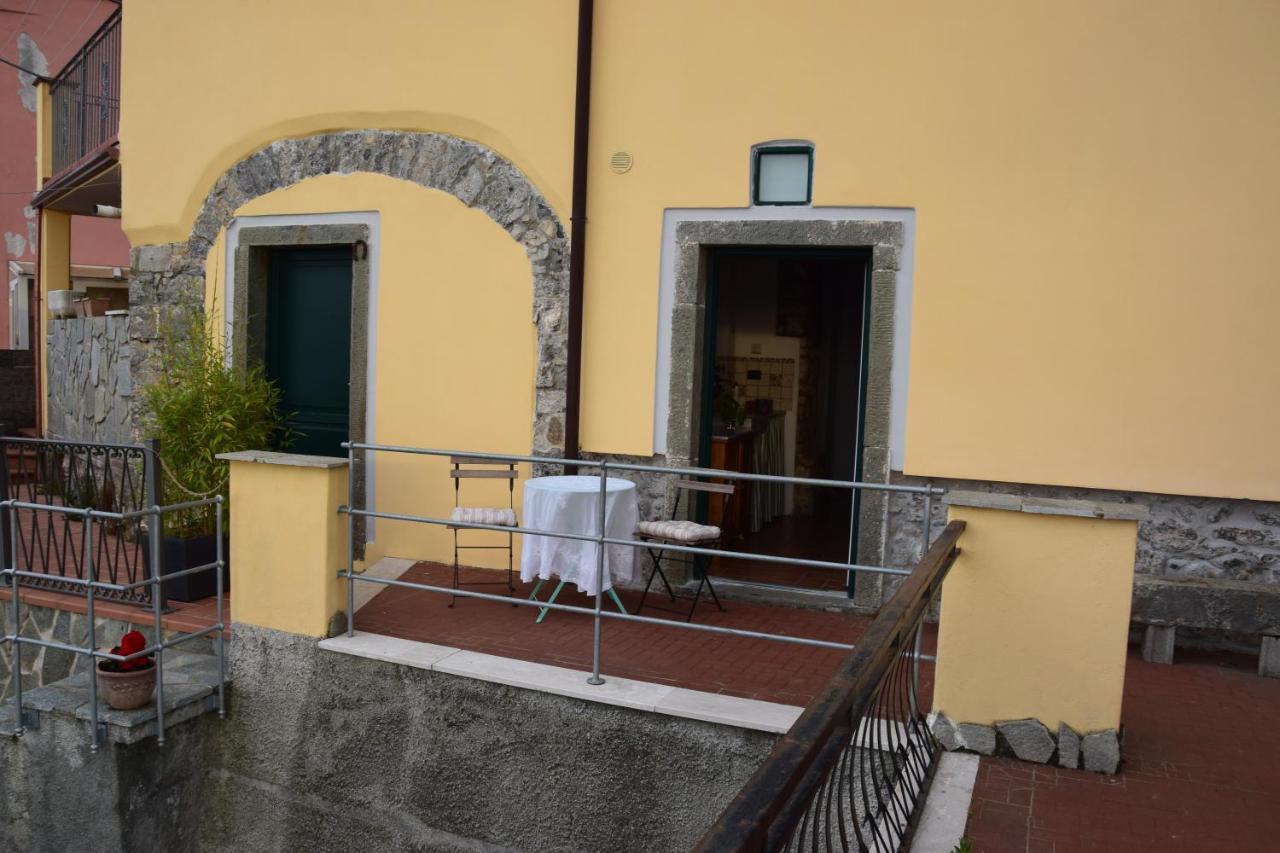 Il Riccio Tra I Castagni *