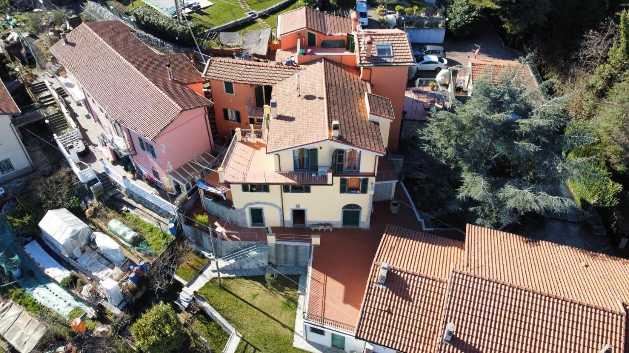 Il Riccio Tra I Castagni La Spezia